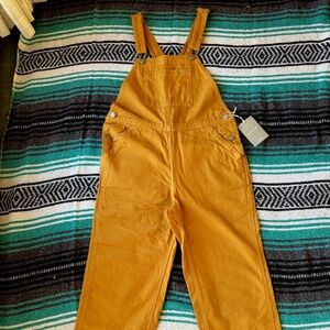 Everlane canvas overalls